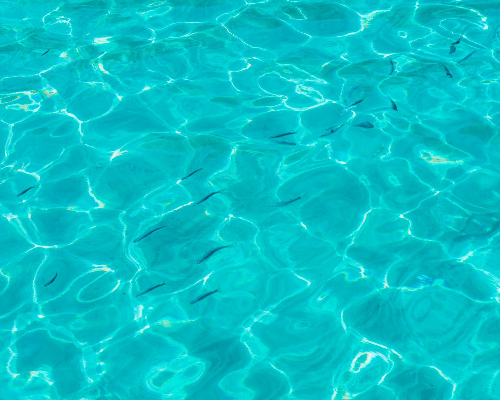 Turquoise water and swimming area at Orak Island Bodrum